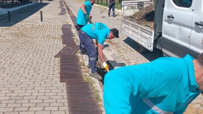 Efeler Belediyesi, Kurban Bayramı öncesinde Çeştepe Hayvan Pazarı’nda temizlik, dezenfekte