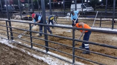 Efeler Belediyesi, Kurban Bayramı boyunca kurban kesim alanları, parklar ve