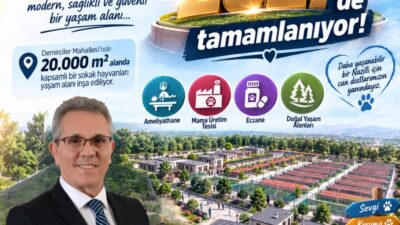 Nazilli Belediyesi'nin sokakta yaşayan canlar için hayata geçireceği Pati Köy