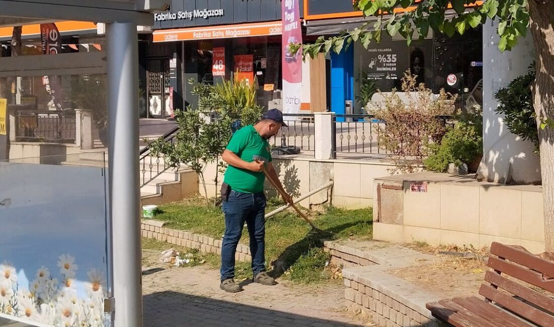 Efeler’de o bölge baştan sona yenilendi! Yeşil alanlarda kapsamlı bakım çalışması Efeler Belediyesi, 7 Eylül Mahallesi Muğla Karayolu güzergâhında ot biçme,