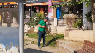 Efeler Belediyesi, 7 Eylül Mahallesi Muğla Karayolu güzergâhında ot biçme,