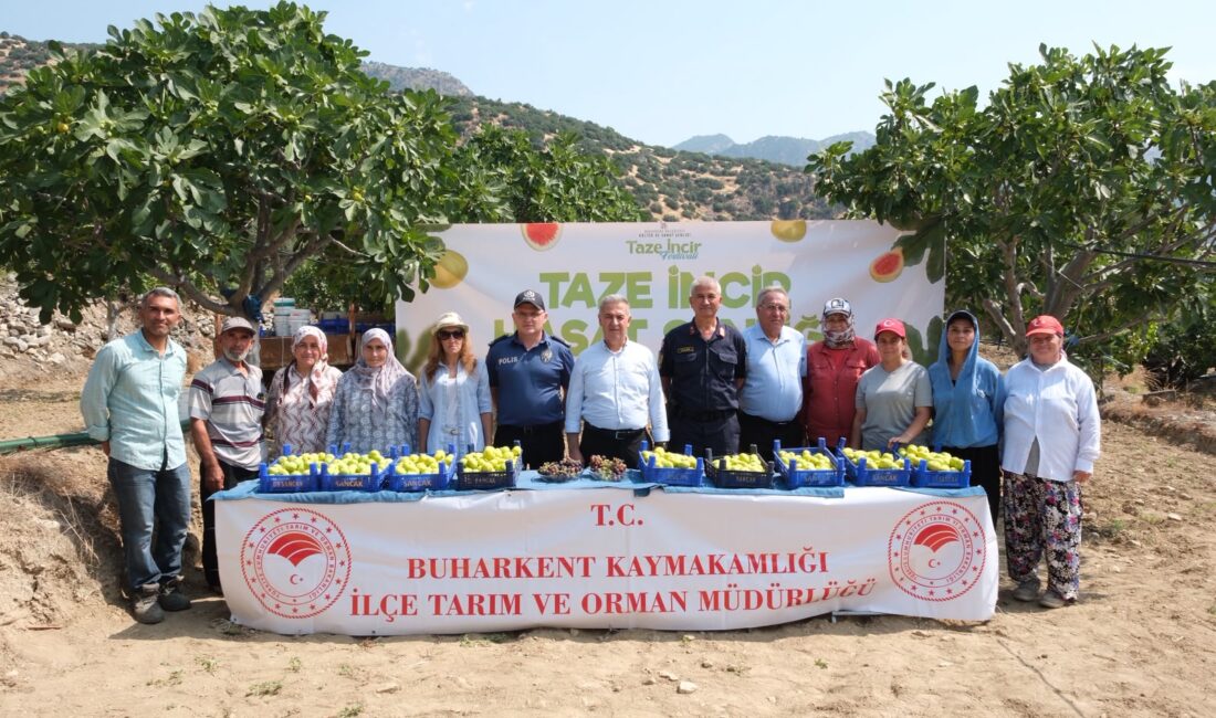 Buharkent’te Taze İncir Hasat Töreni Düzenlendi! 2026 Sezonu Resmen Başladı Aydın'ın Buharkent ilçesinde 2026 yılı taze incir sezonu düzenlenen Taze