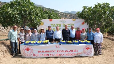 Aydın'ın Buharkent ilçesinde 2026 yılı taze incir sezonu düzenlenen Taze