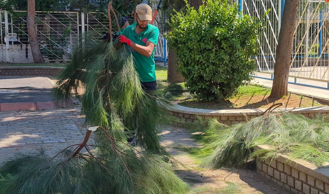 Efeler Belediyesi Park ve Bahçeler Müdürlüğü ekipleri, ilçedeki park ve