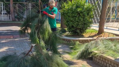 Efeler Belediyesi Park ve Bahçeler Müdürlüğü ekipleri, ilçedeki park ve