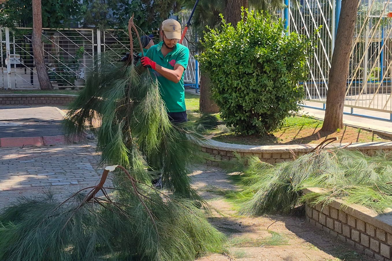 Efeler Belediyesi Park ve Bahçeler Müdürlüğü ekipleri, ilçedeki park ve
