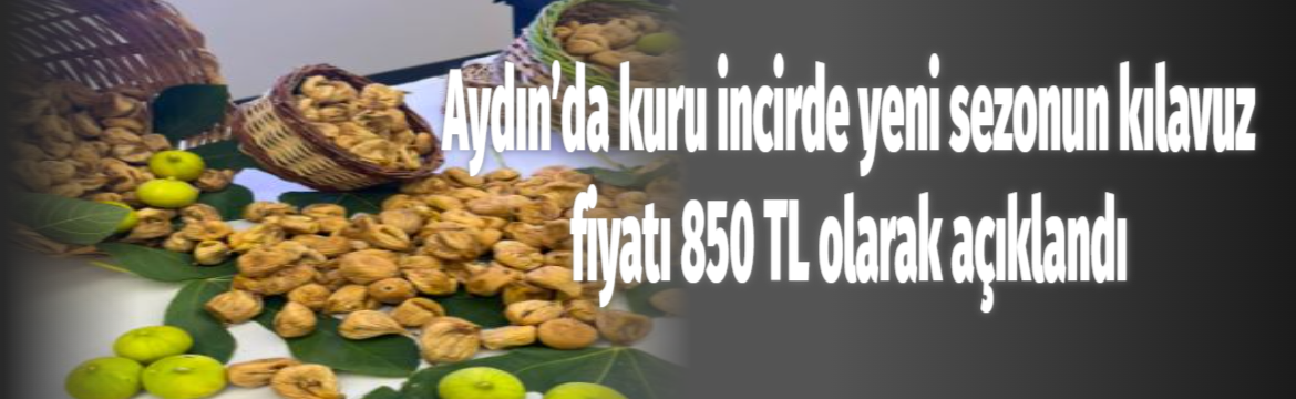 Aydın’ın dünya kuru incir üretim