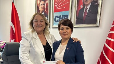 Cumhuriyet Halk Partisi Kadın Kolları Genel Başkanı Ayten Gülsever'in takdirleri