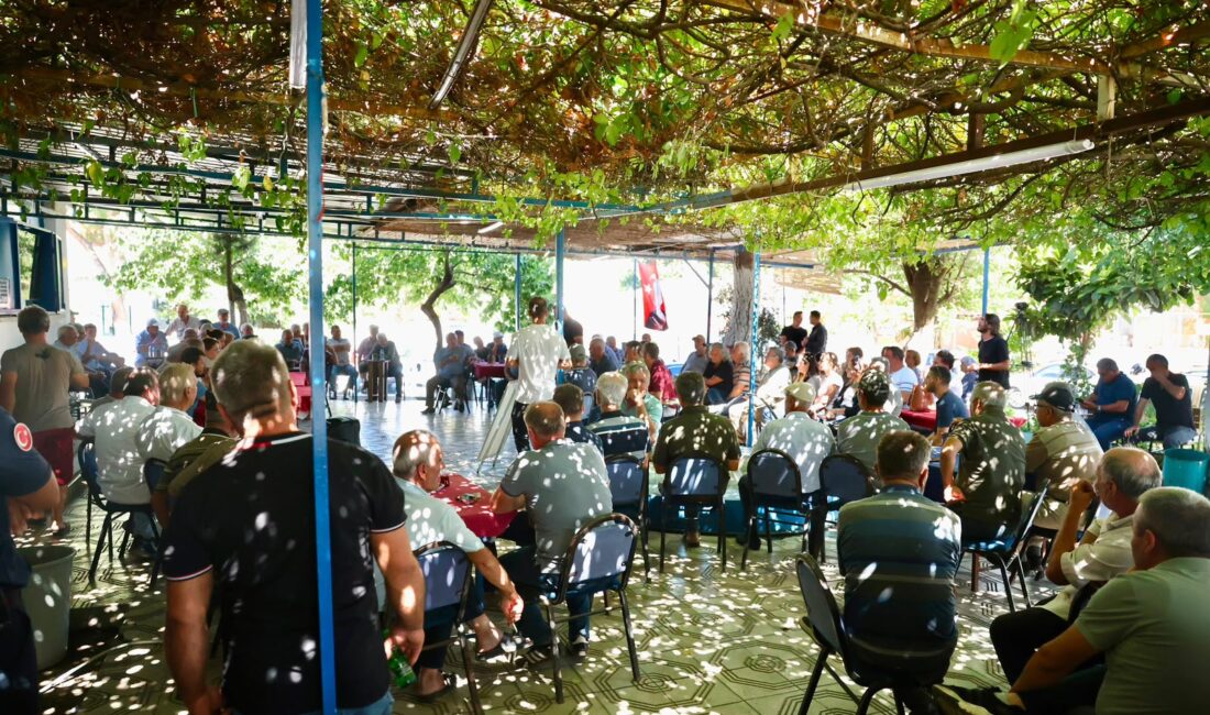 Didim Belediye Başkanı Hatice Gençay, Akköy’de zeytin üreticileriyle bir araya