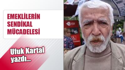 Emeklilerin örgütlenme ve hak mücadelesi 1995 yılında başlamıştır. Ancak sendikal
