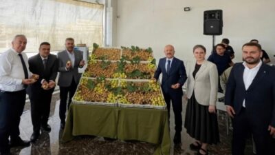 Aydın’ın dünyaca ünlü kuru incirinde 2026-2027 sezonu Nazilli’de düzenlenen törenle