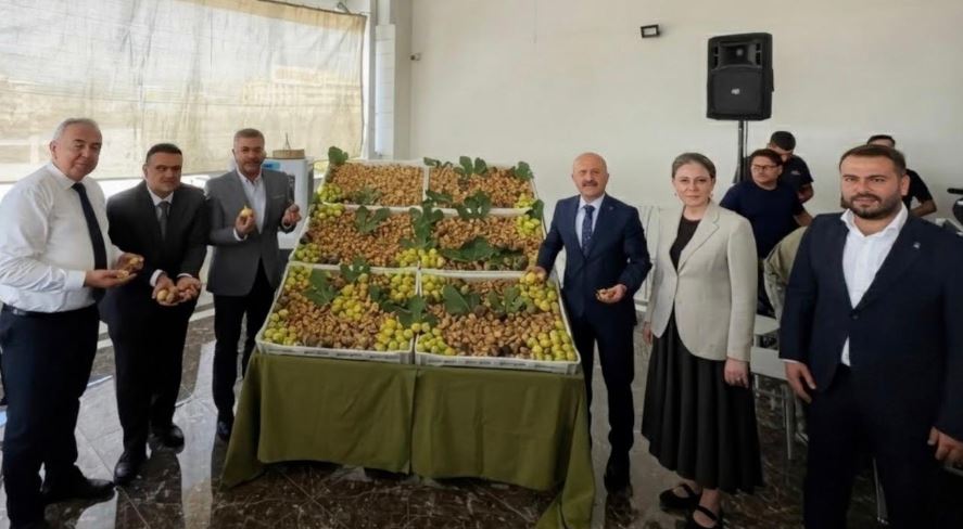 Aydın’ın dünyaca ünlü kuru incirinde 2026-2027 sezonu Nazilli’de düzenlenen törenle