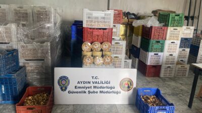 Aydın’ın Efeler ve Köşk ilçelerinde sahtecilik faaliyetlerinin önlenmesine yönelik düzenlenen