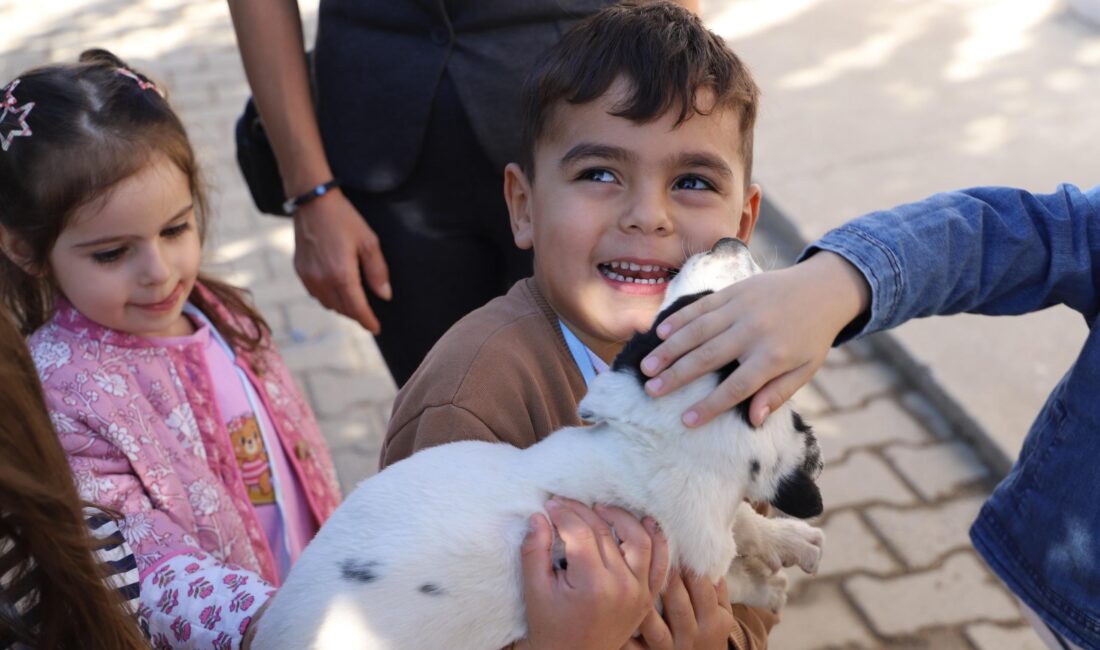 Nazilli’de öğrenciler, 4 Ekim Dünya Hayvanları Koruma Günü kapsamında Nazilli