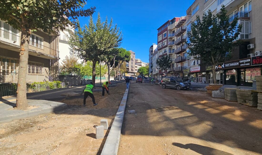 Aydın yol çalışmaları, Büyükşehir Belediyesi ekiplerinin 17 ilçede sürdürdüğü yol