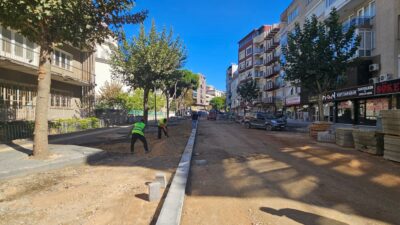 Aydın yol çalışmaları, Büyükşehir Belediyesi ekiplerinin 17 ilçede sürdürdüğü yol